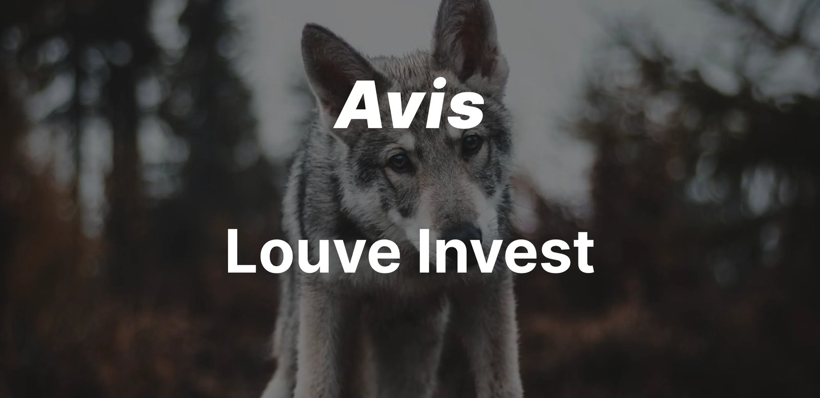 epargnews Louve Invest : Avis Complet, Avantages, Inconvénients et Alternatives en 2026