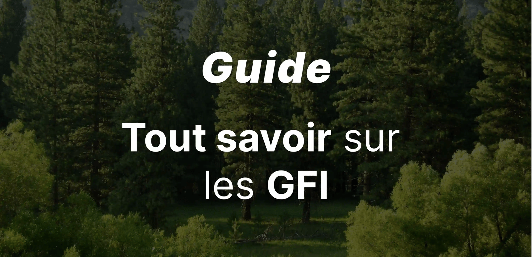 Le guide des Groupements Forestiers d'Investissement (GFI)
