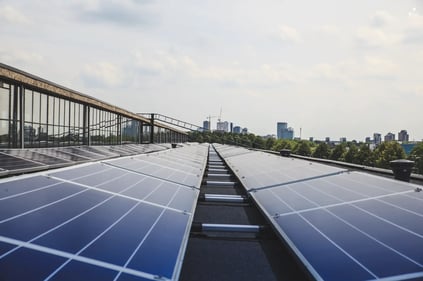VOLT EUROPE