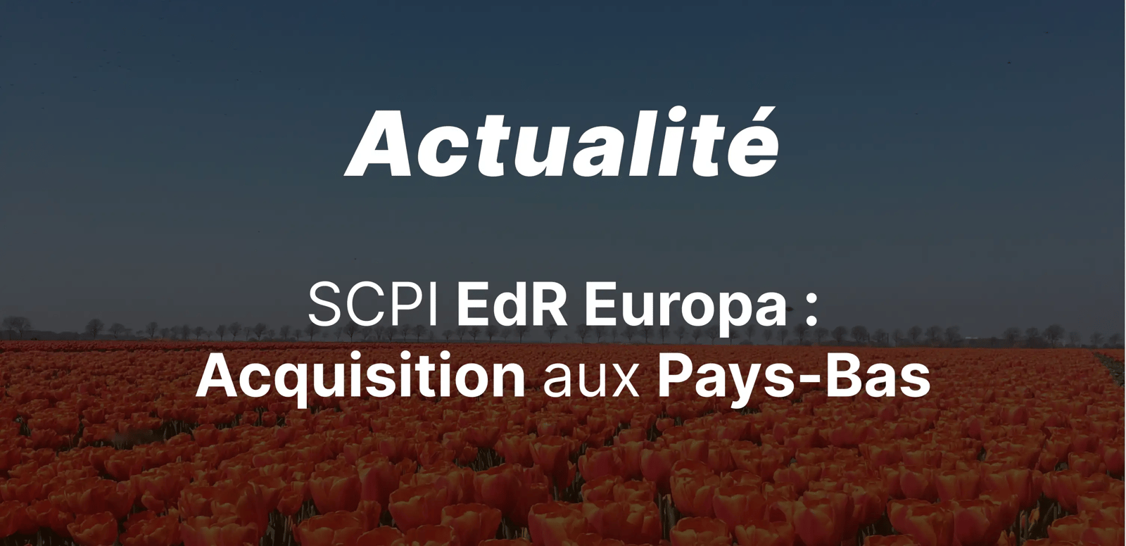 epargnews La SCPI EdR Europa se renforce aux Pays-Bas