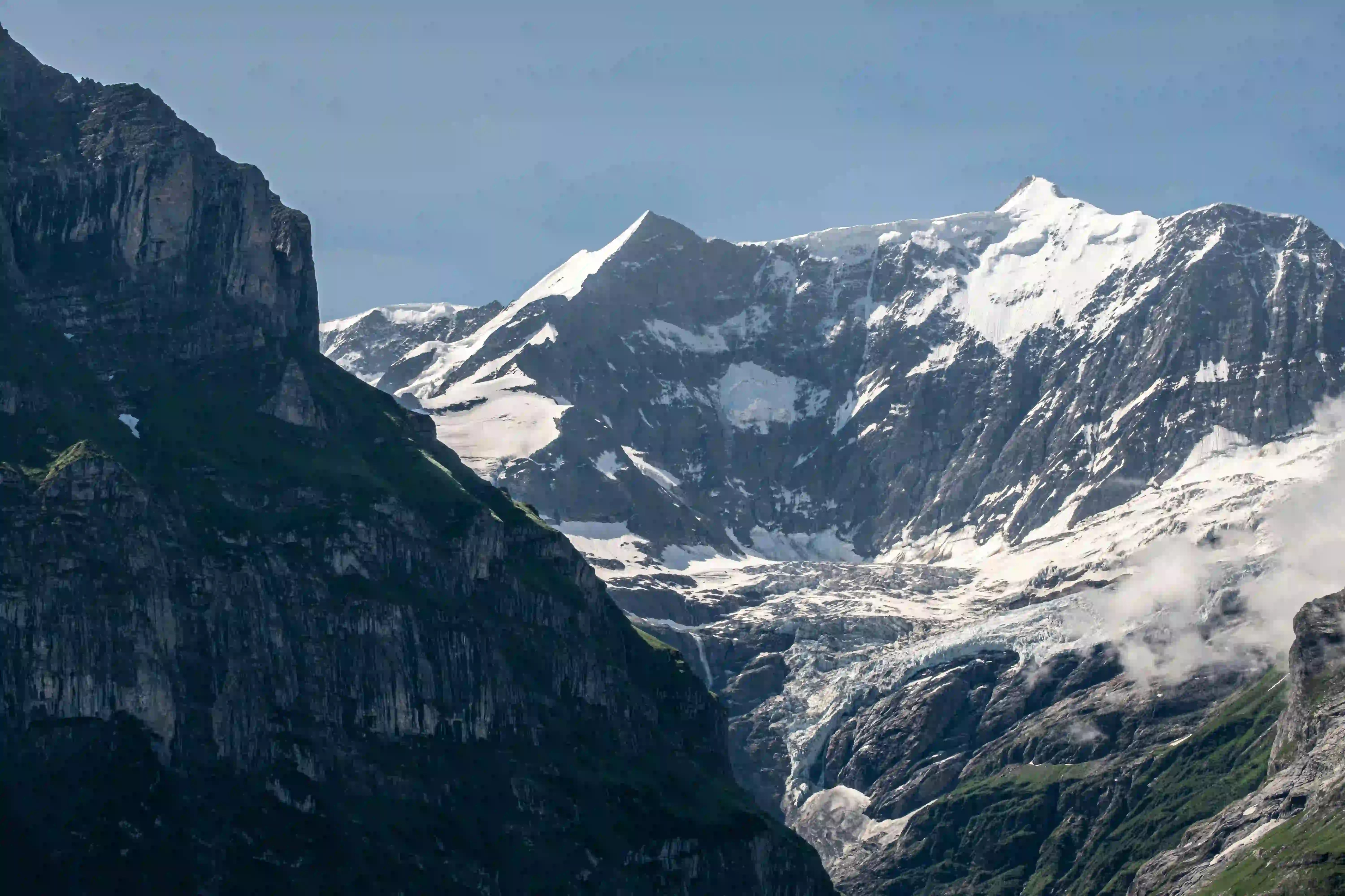 Investisseuse consultant les frais de son contrat Himalia en ligne