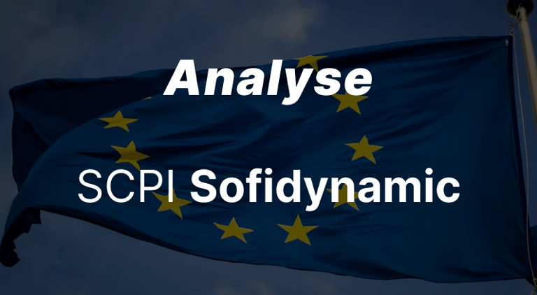 SCPI Sofidynamic : tout ce qu'il faut savoir !