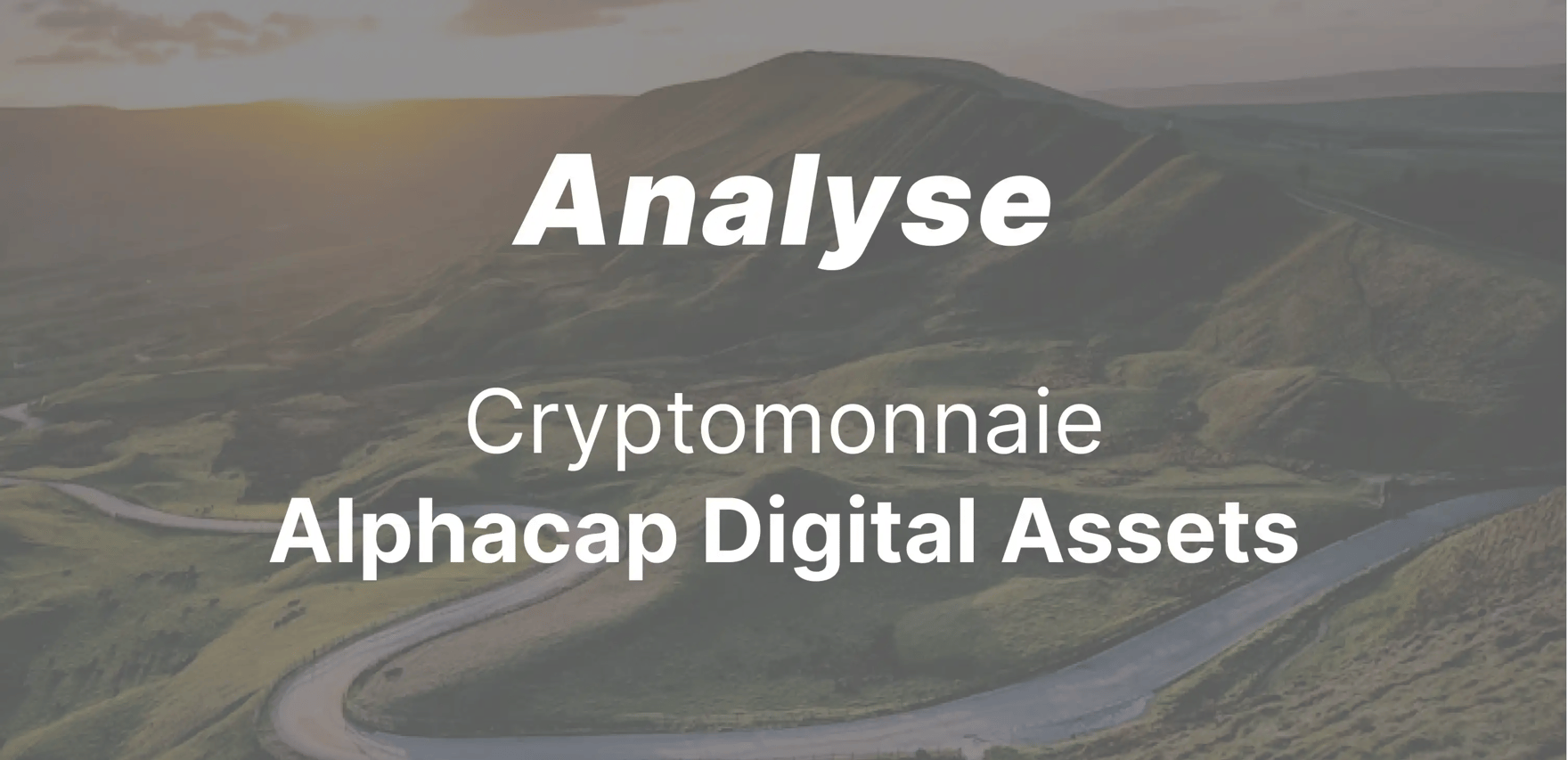 Alphacap Digital Assets : tout ce qu'il faut savoir !