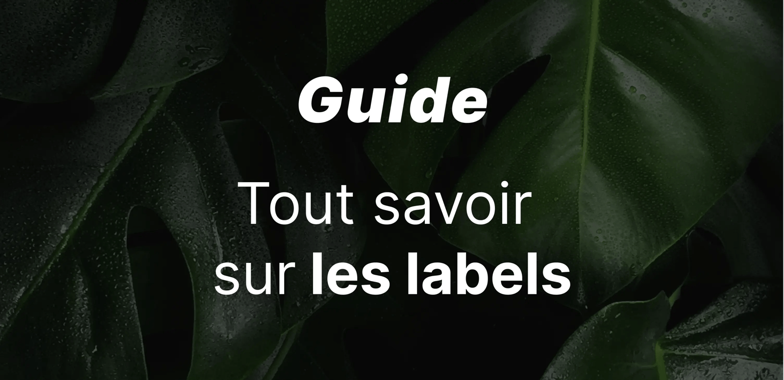 epargnews Guide : Tout savoir sur les labels