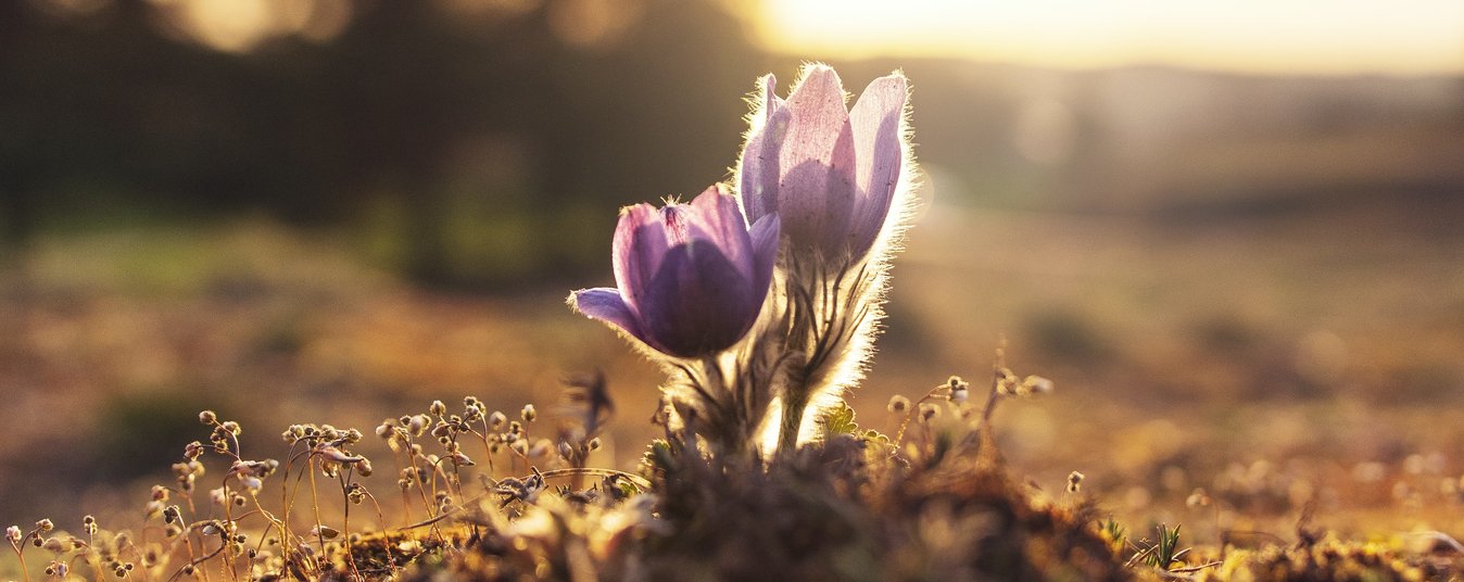 Compte épargne rémunéré · mymoneybank