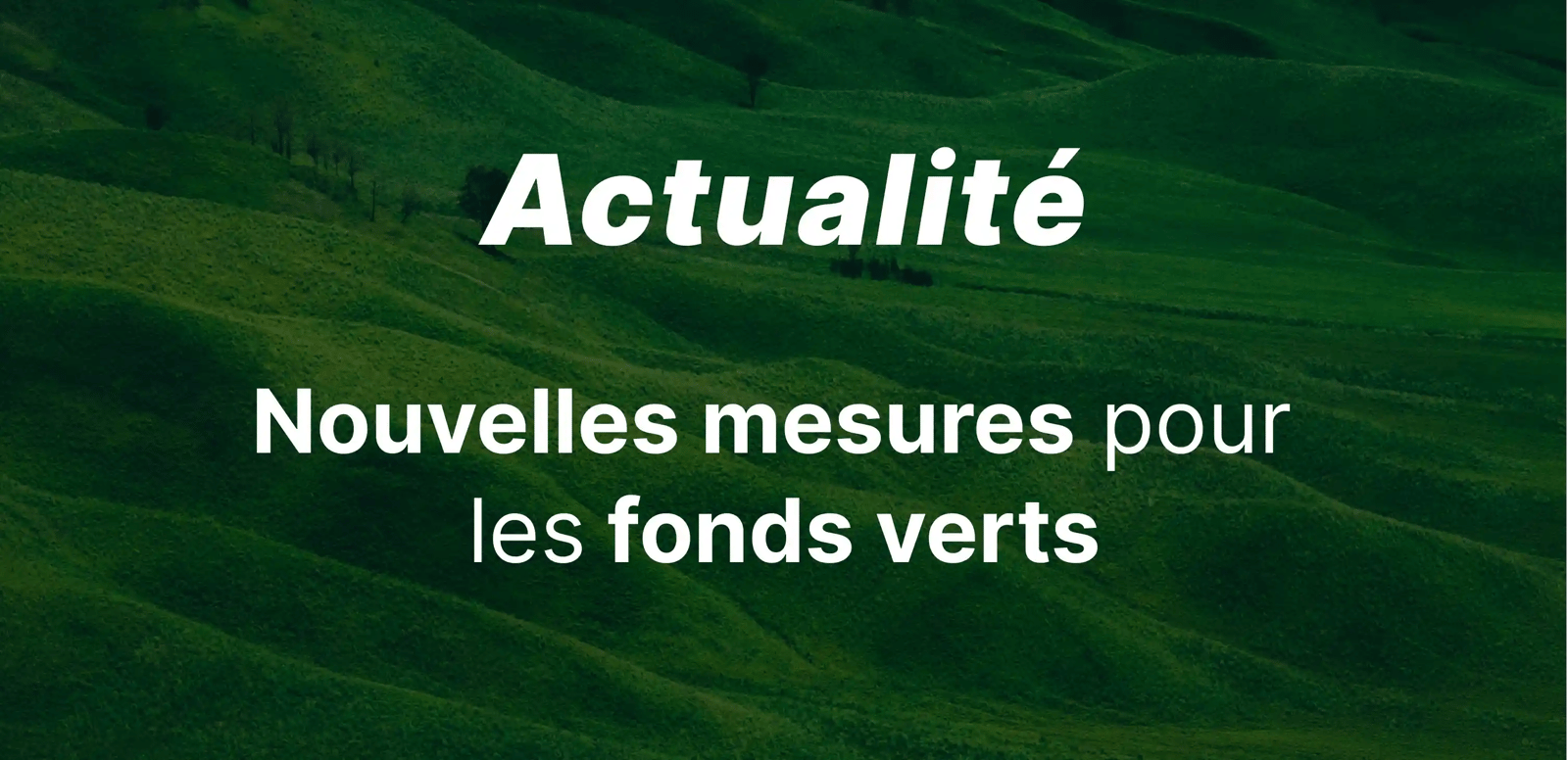 epargnews Les fonds d’investissement verts, un nouvel élan pour une finance responsable ?