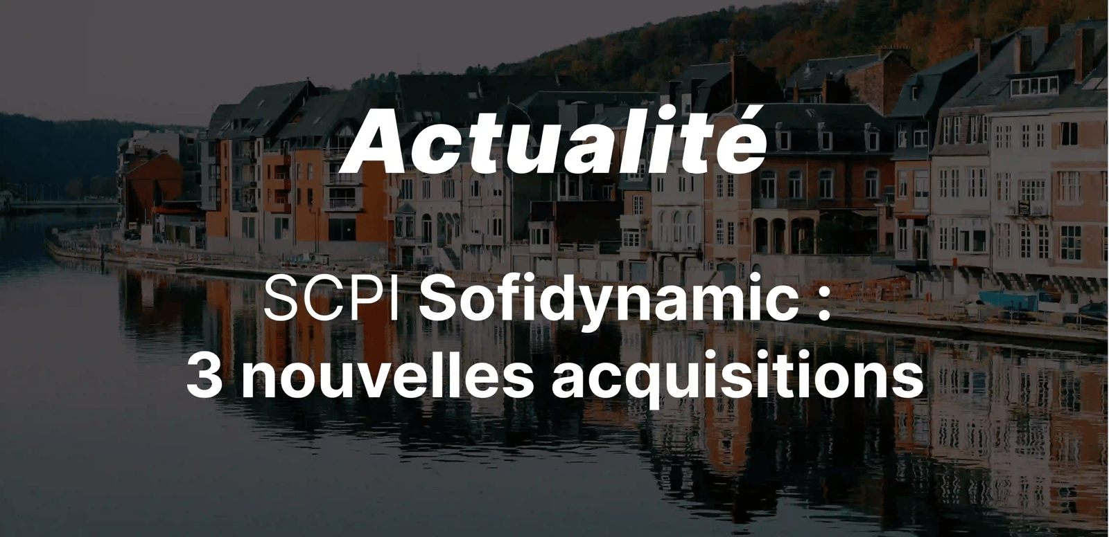 epargnews Trois nouvelles acquisitions pour Sofidynamic