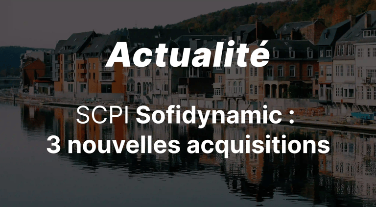 Trois nouvelles acquisitions pour Sofidynamic